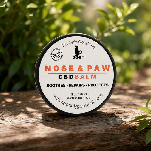 Nose & Paw Balm for Dogs | Natural Moisturizing Protection – D.O.G.
