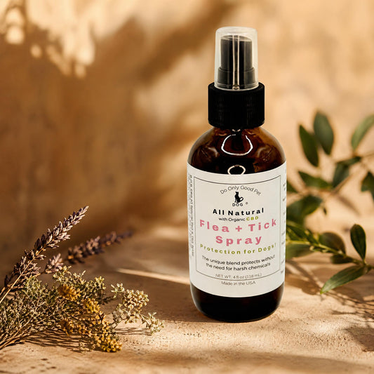 Natural Flea & Tick Spray for Dogs | Plant-Based Protection – D.O.G.