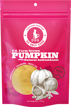 Pumpkin with Natural Antioxidants